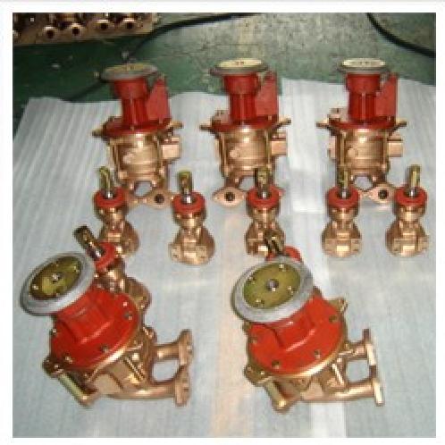 VACUUM PUMP TYPE PUMP PRIMING